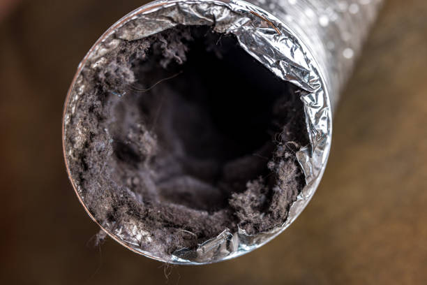 Trusted VA Airduct Cleaning Experts